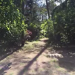 Wald Und Wohlsein