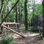 Wald Und Wohlsein