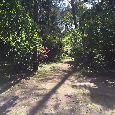 Wald Und Wohlsein