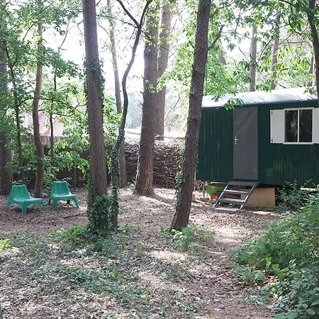 Wald Und Wohlsein * بيليتس