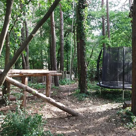 Wald Und Wohlsein