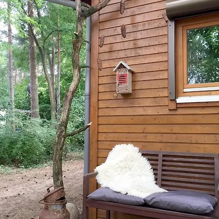 Wald Und Wohlsein Beelitz