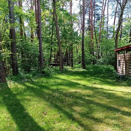 Wald Und Wohlsein * Beelitz