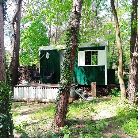 Wald Und Wohlsein * ביליץ