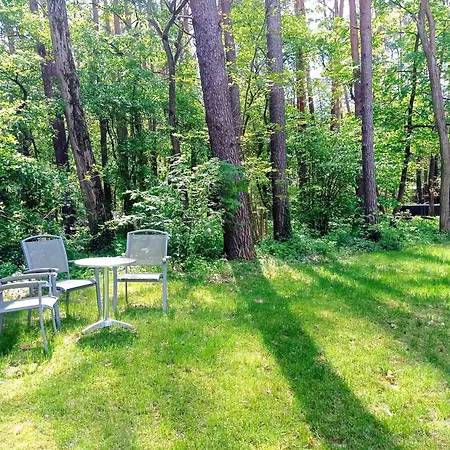 Holiday home Wald Und Wohlsein