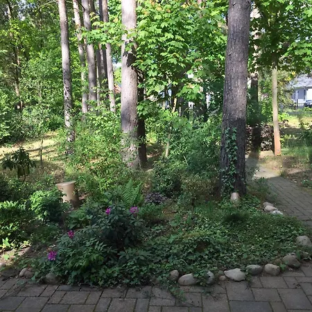 Holiday home Wald Und Wohlsein