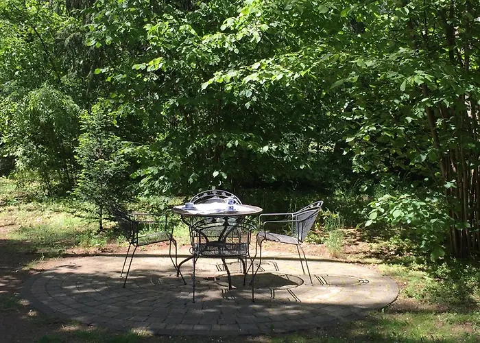 Wald Und Wohlsein ביליץ