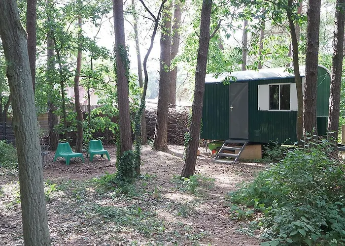 Wald Und Wohlsein * Beelitz