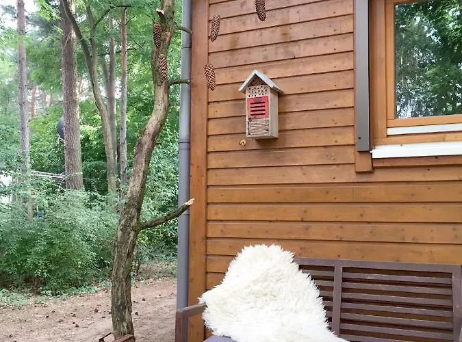 Wald Und Wohlsein ביליץ