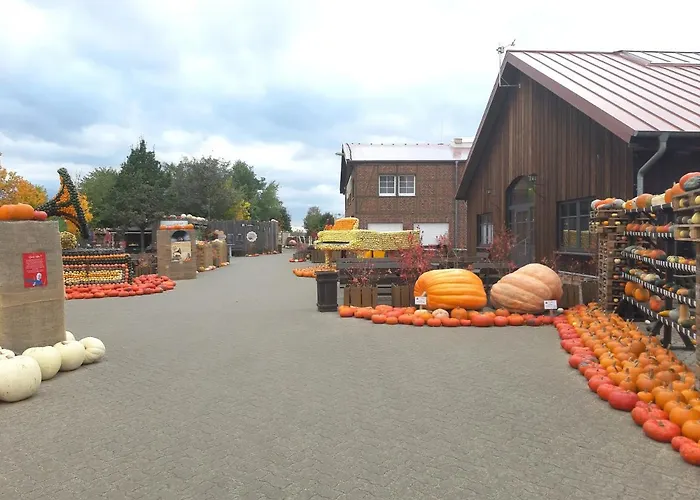 בית נופש Wald Und Wohlsein ביליץ