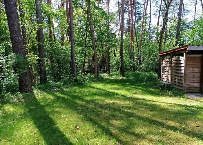 Wald Und Wohlsein * ביליץ